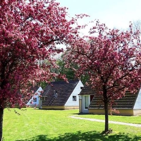 BUNGALOW 4 people - Alpha