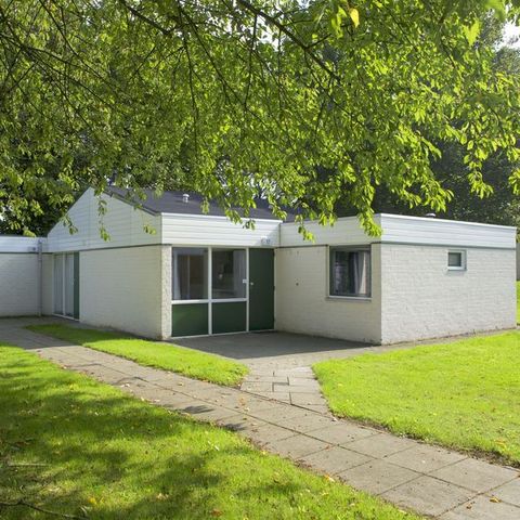 Bungalow 4 persons - Switch