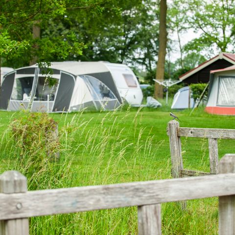 Recreatiepark Den Blanken - Camping Berkelland - Image N°3