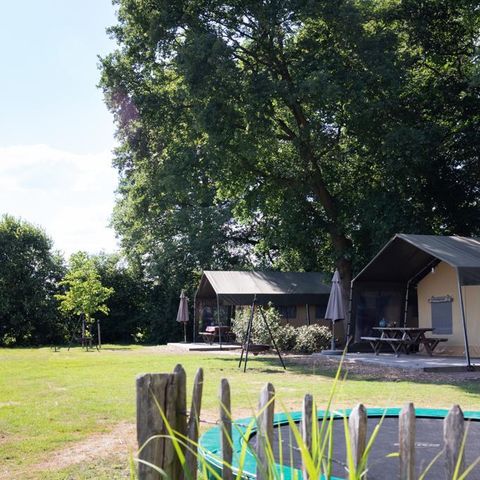 Canvas and wooden tent 5 persons - Luxury