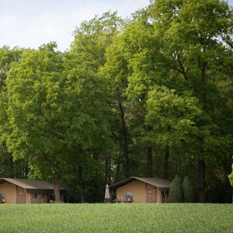 Canvas and wooden tent 5 persons - Luxury