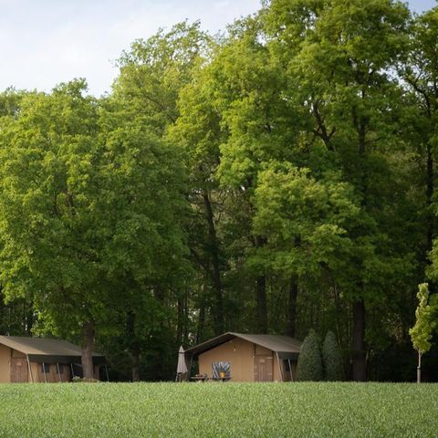 CANVAS AND WOOD TENT 5 people - Luxury