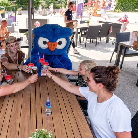 Kampeerdorp de Zandstuve - Hardenberg - Image N°6