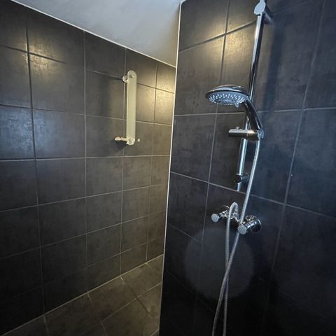 MOBILE HOME 5 people - mobile home/chalet IJsselheide 71