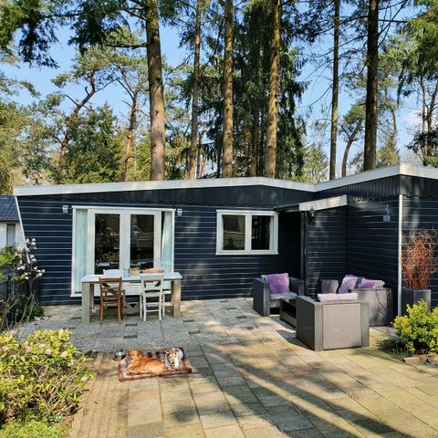 Mobile home 4 persons - mobile home/chalet IJsselheide 115