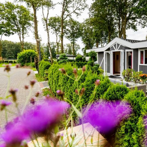 CHALET 6 people - Standard