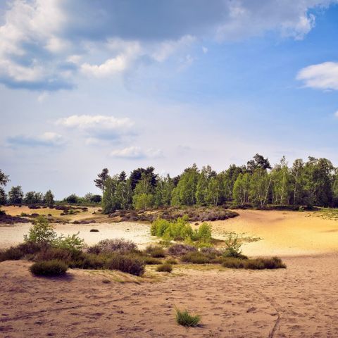 HOUSE 6 people - Deluxe