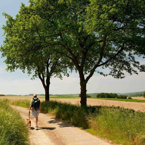 HOUSE 6 people - Deluxe