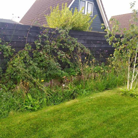 BUNGALOW 7 people - 68