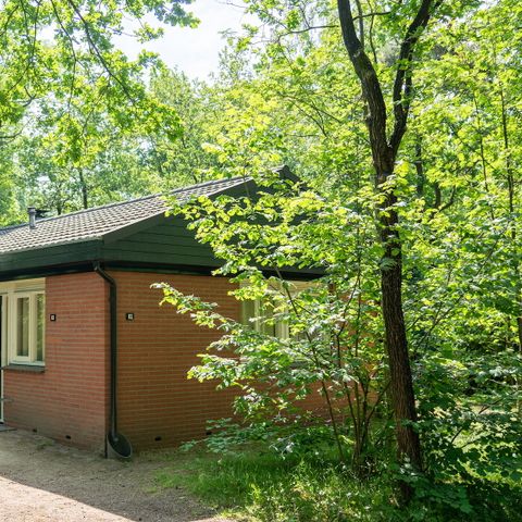 Bungalow 4 persons - 4C1