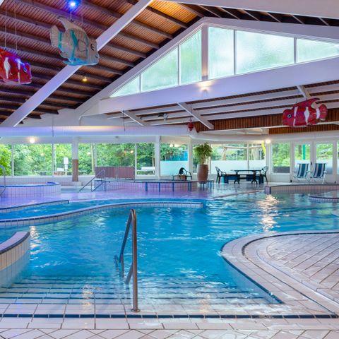Summio Parc Heihaas - Camping Ermelo - Image N°4