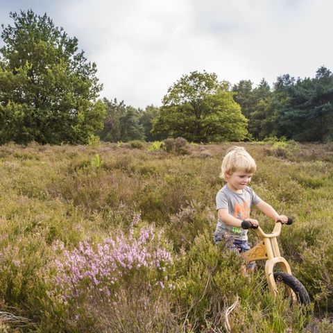 Landal Gooise Heide - Camping Huizen - Image N°6