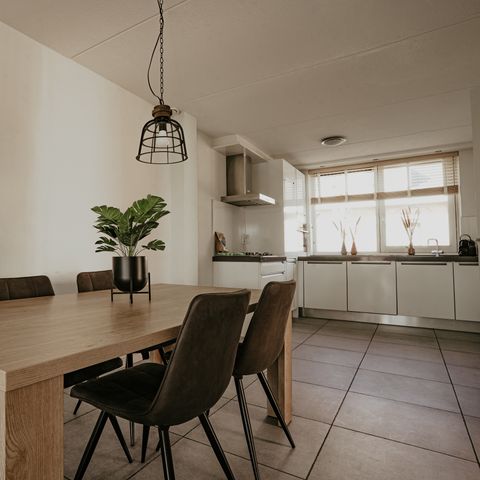 House 4 persons - Dorregeest