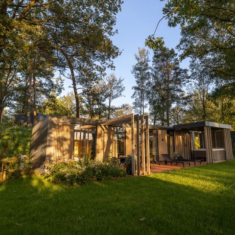 Lodge 4 persons - Forest