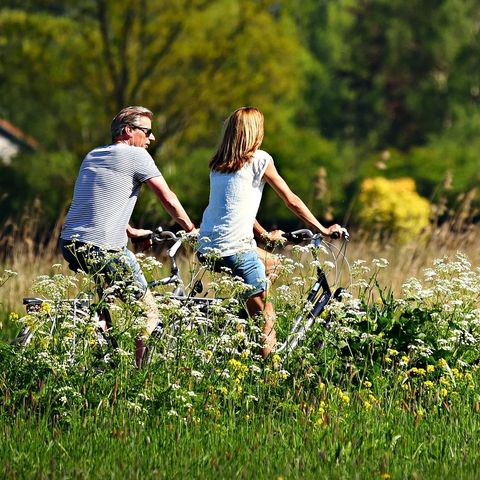Vakantiecentrum Sonnevanck - Camping Midden-Drenthe - Image N°3