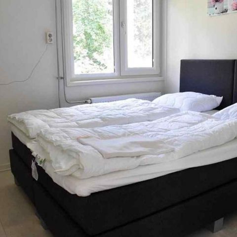 BUNGALOW 4 people - Kievit