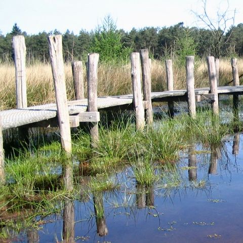 Vakantiecentrum Sonnevanck - Camping Midden-Drenthe - Image N°4