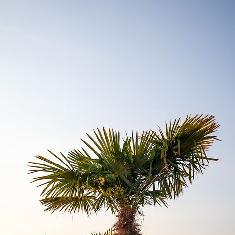 CANVAS AND WOOD TENT 2 people - Dreamer