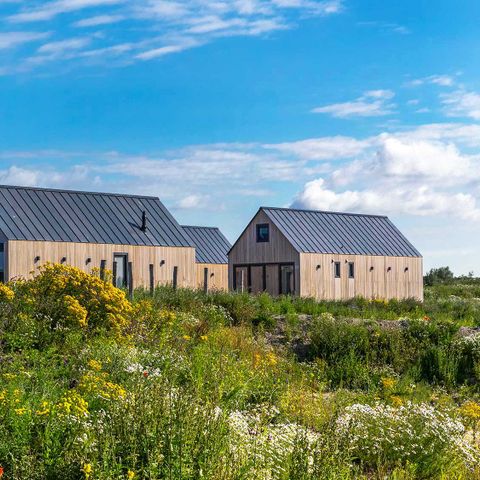 HOUSE 4 people - Dwarf goose