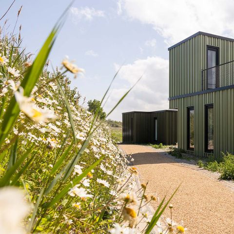 HOUSE 8 people - Grass Warbler