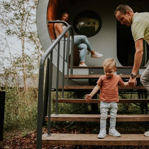 Accommodation 4 persons - Tree house Skycabin Creeper