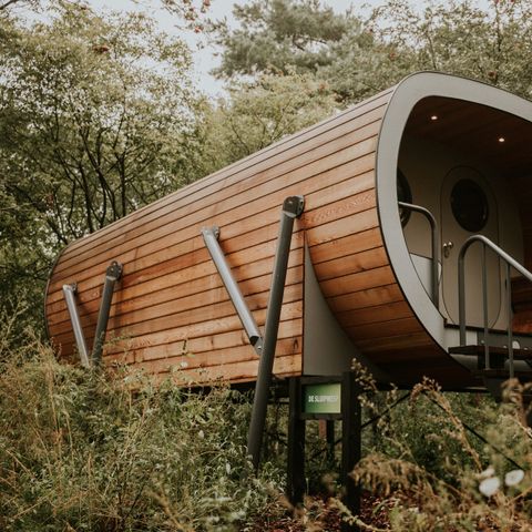 Accommodation 4 persons - Tree house Skycabin Creeper