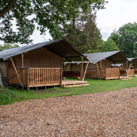 Canvas and wooden tent 6 persons - including sanitary facilities