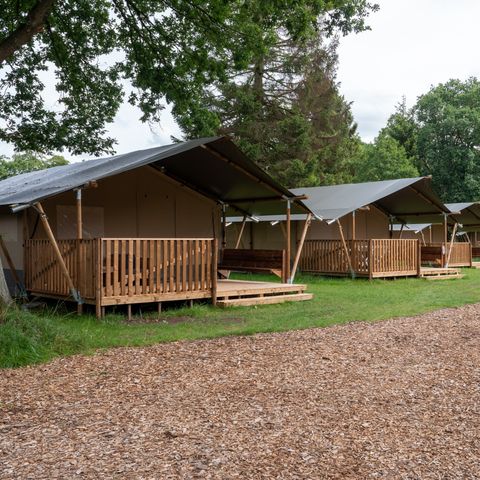 Canvas and wooden tent 4 persons - including sanitary facilities