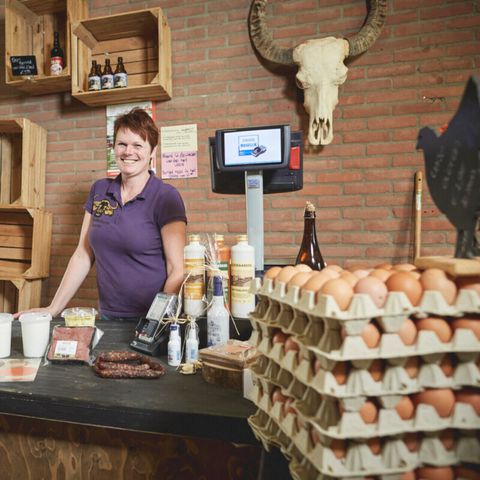 Vodatent Camping de Waterbuffelfarm  - Steenwijkerland - Image N°6