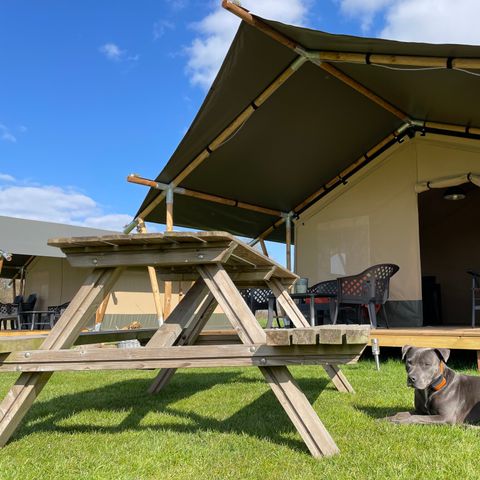 Canvas and wooden tent 6 persons