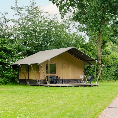 CANVAS AND WOOD TENT 6 people