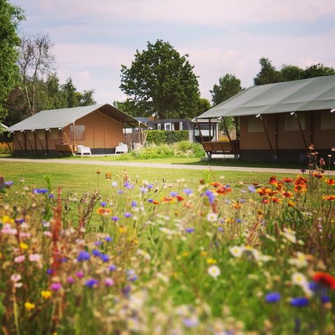 CANVAS AND WOOD TENT 6 people - XL incl. toilet