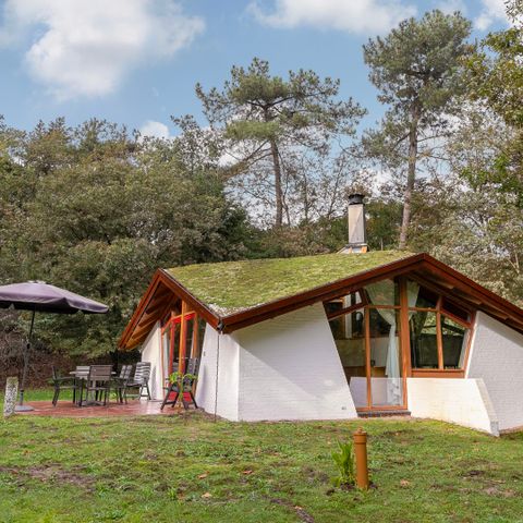 Bungalow 6 persons - Forest Villa