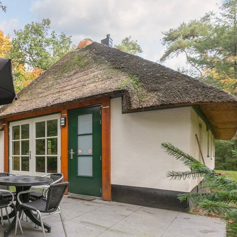 Bungalow 4 persons - Maashoeve