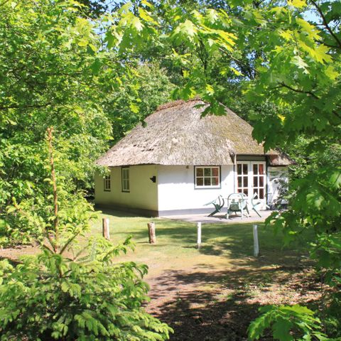 Bungalow 4 persons - Stuif Hoeve 4