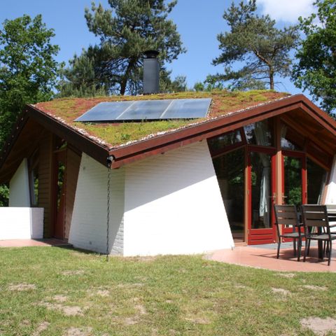 Bungalow 8 persons - Forest Villa