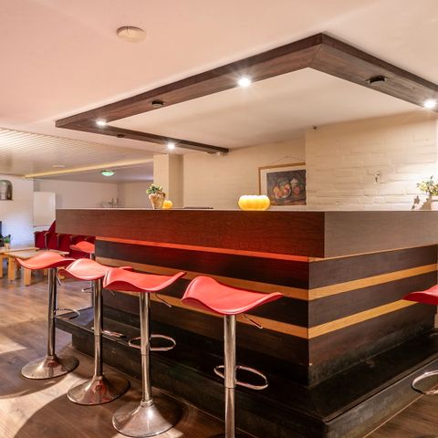 Group accommodation 24 persons - 2Villa Wevershof 20+4