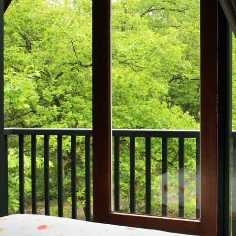 Bungalow 6 persons - Forest edge B6