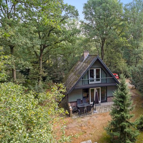 Bungalow 6 persons - Forest edge B6