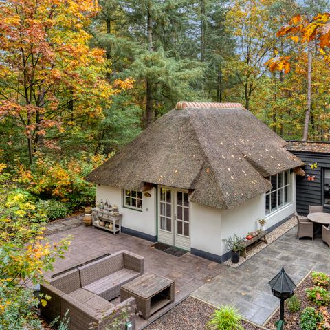 Bungalow 4 persons - Maashoeve