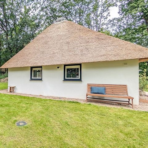 Bungalow 4 persons - Maashoeve Deluxe