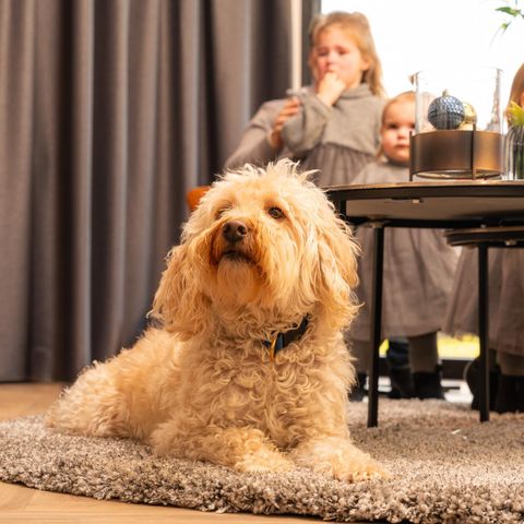 CHALET 6 people - Villa Nautica