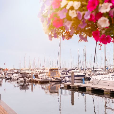 Summio Marina Port Zelande  - Camping Goeree-Overflakkee - Image N°6