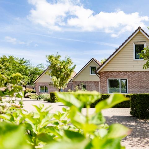 Bungalow 6 persons - Jansberg