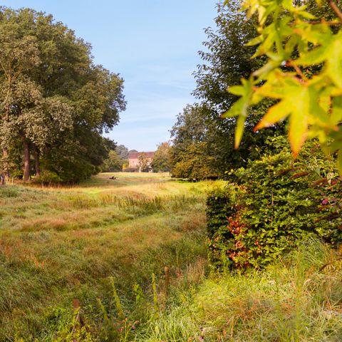 Summio Bungalowpark De Riethorst - Camping Mook und Middelaar - Image N°5