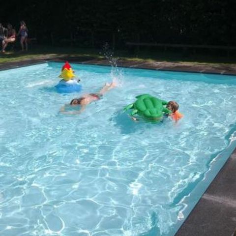 Camping Alkenhaer - Camping Ooststellingwerf - Image N°6