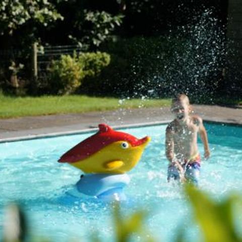 Camping Alkenhaer - Camping Ooststellingwerf - Image N°3