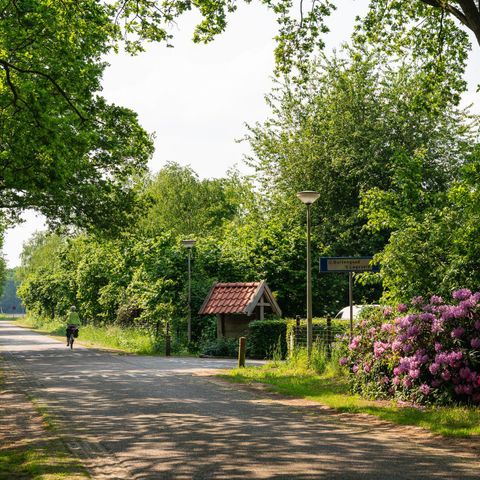 HOUSE 6 people - Bosuil