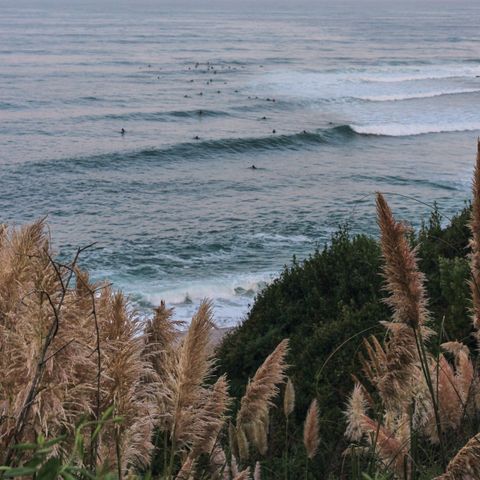 Wecamp San Sebastian - Gipuzkoa  - Image N°2