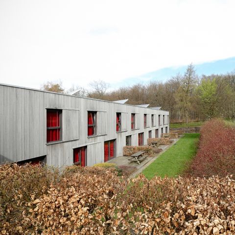 Corsendonk Sol Cress  - Camping Liege - Image N°3